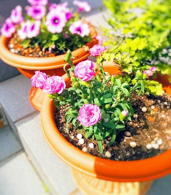 20180605_145257_349~2.jpg