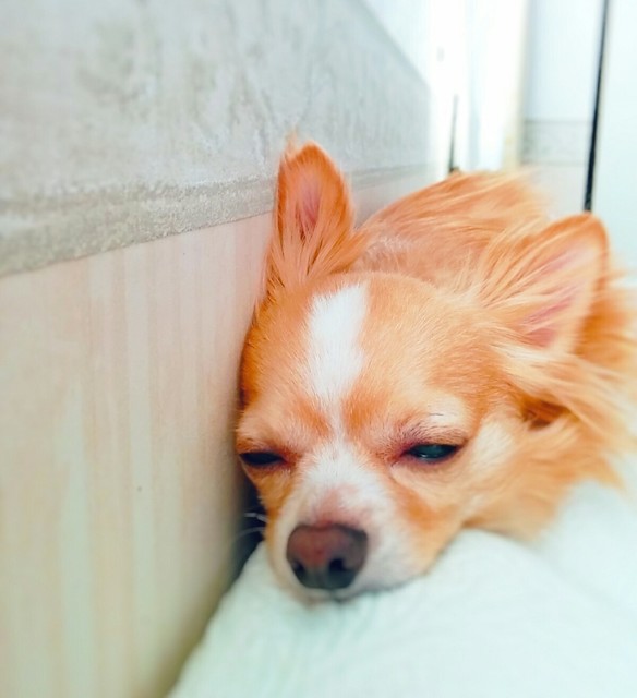 20180605_145417_638~2.jpg