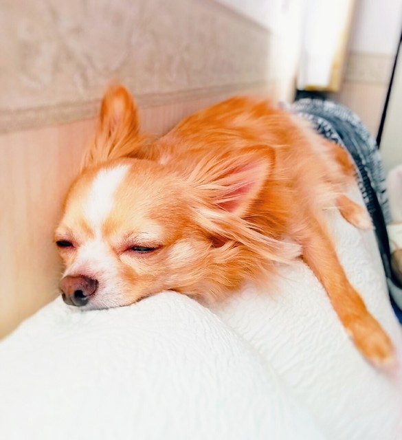 20180605_145915_032~2.jpg