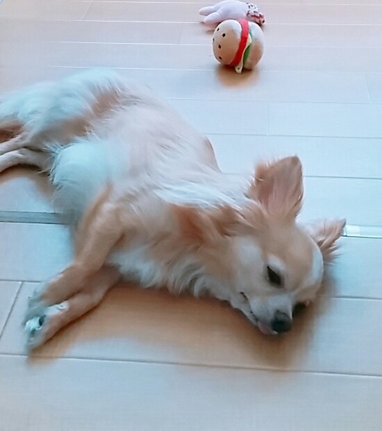 20180625_142545_383~2.jpg