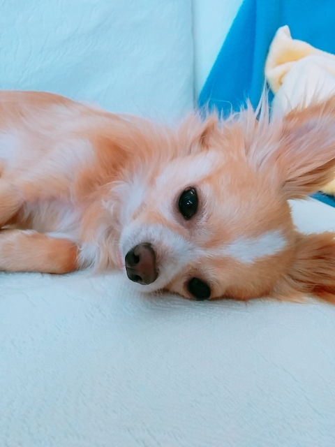 20180625_161301_648.jpg
