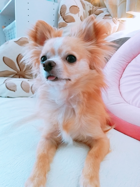 20180625_161555_511.jpg
