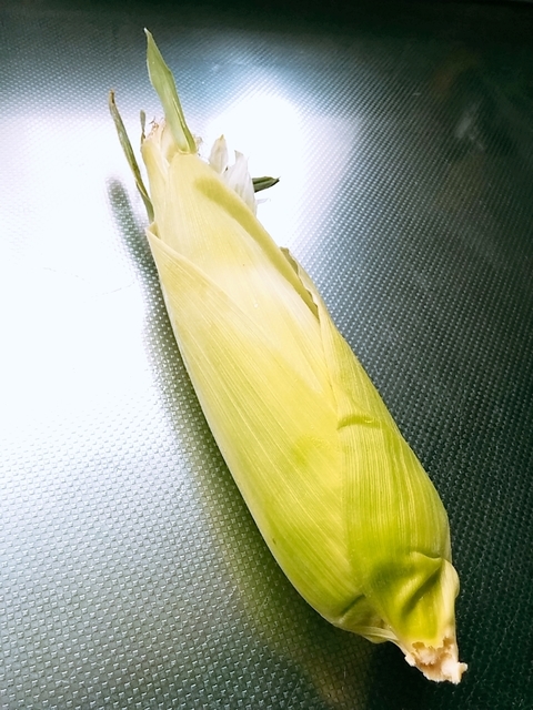 20180711_170605_336.jpg
