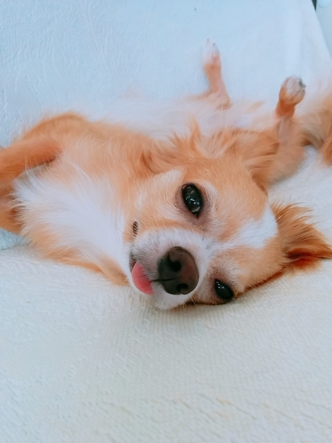 20180717_160707_832.jpg