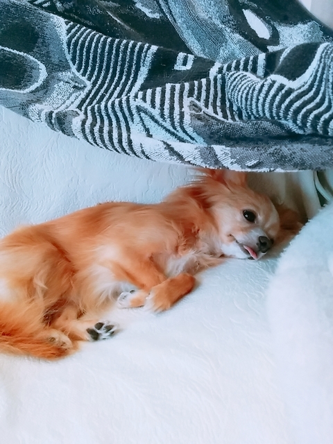 20180720_170827_693.jpg