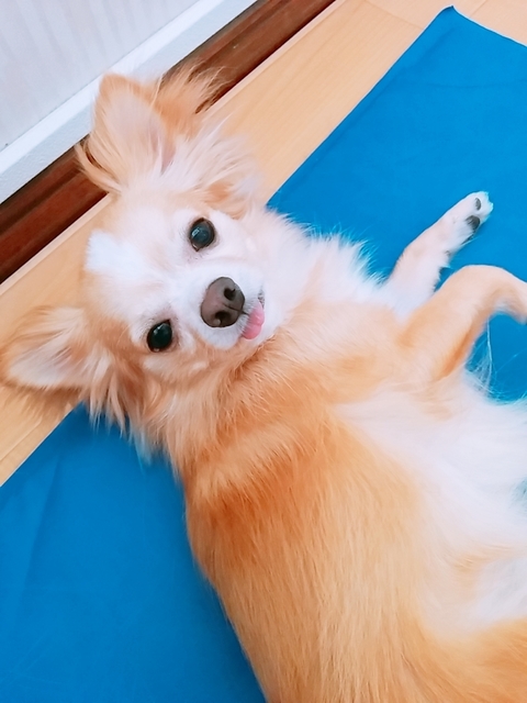 20180726_151502_317.jpg