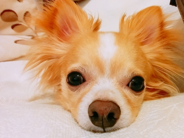 20180806_185306_903.jpg