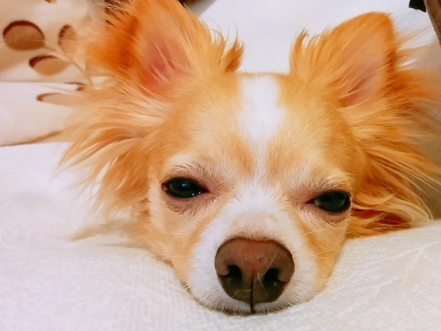 20180806_185309_779.jpg