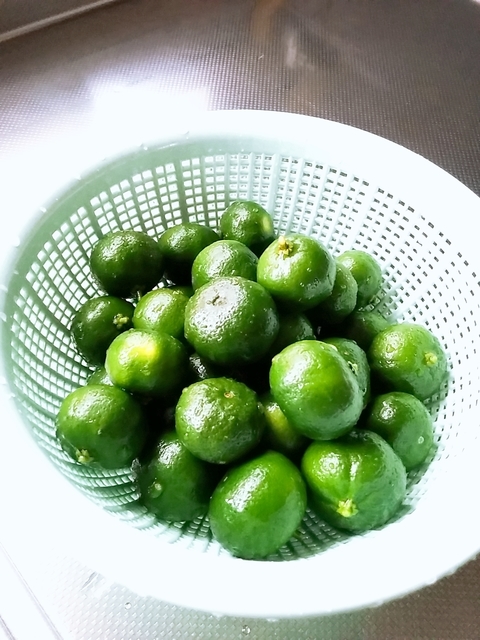 20180924_152150_662.jpg