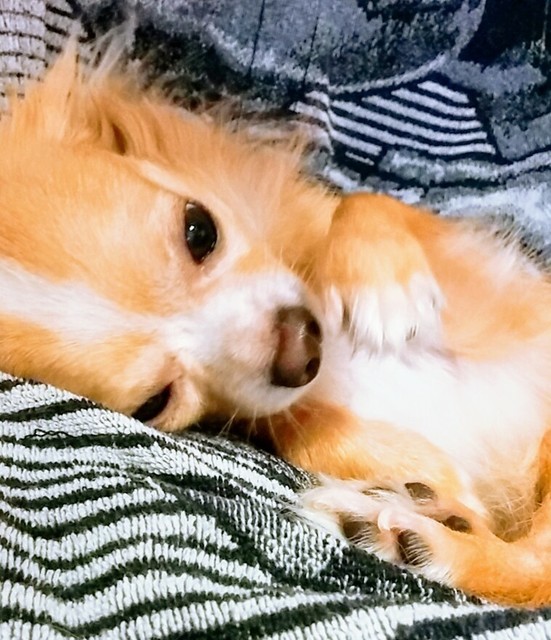 20181010_162958_474~2.jpg