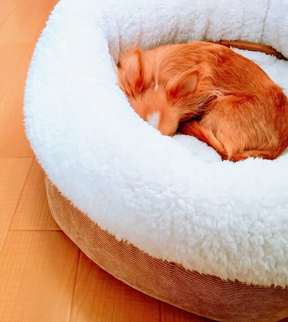 20181114_143144_586~2.jpg