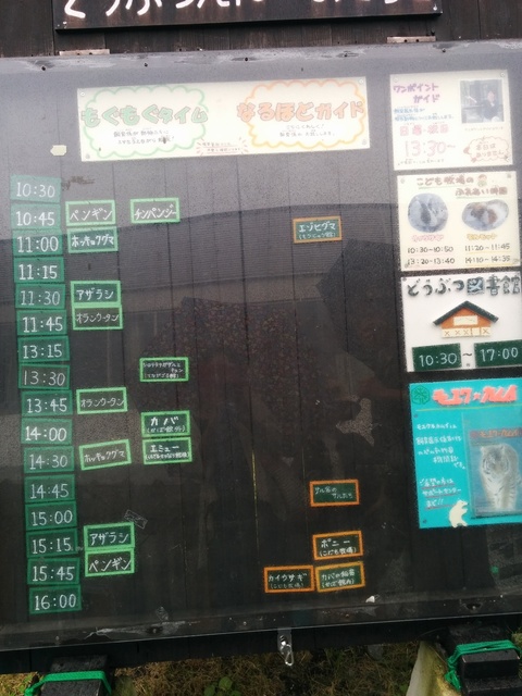 旭山動物園