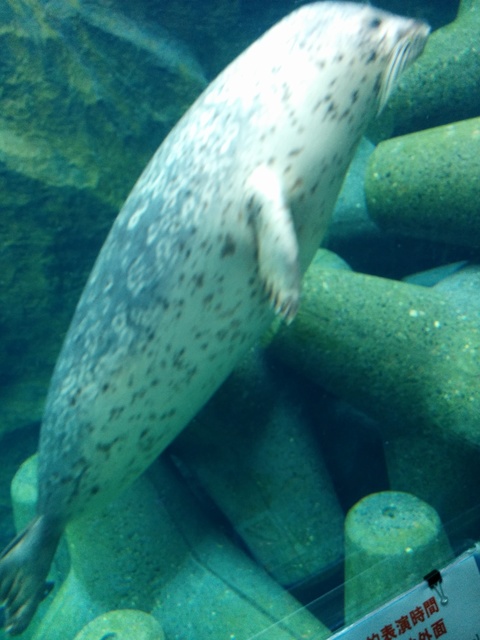 旭山動物園