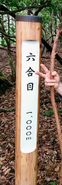 下呂御前山
