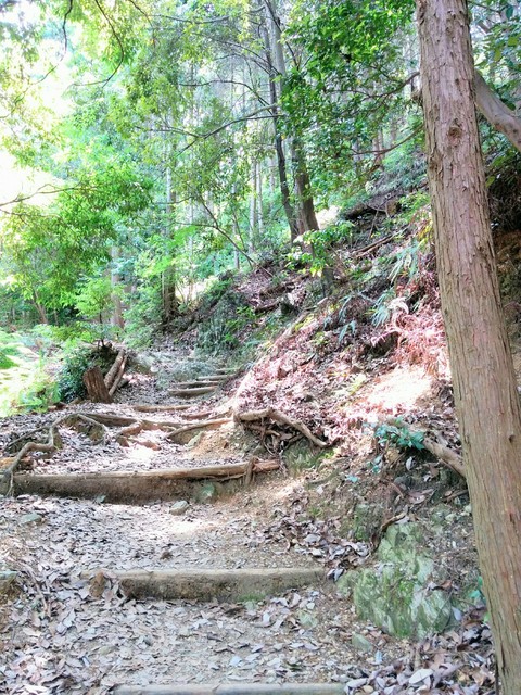 多度山