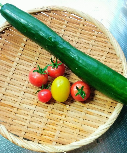 家庭菜園