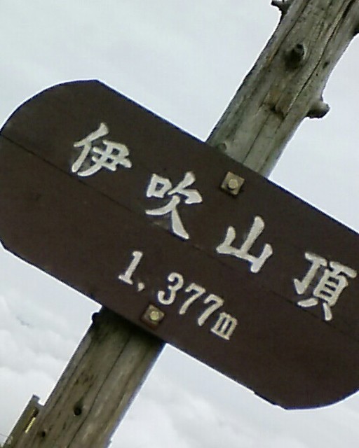 トレッキング