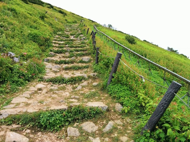 伊吹山