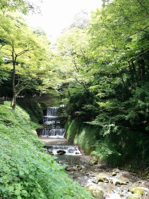 養老の滝